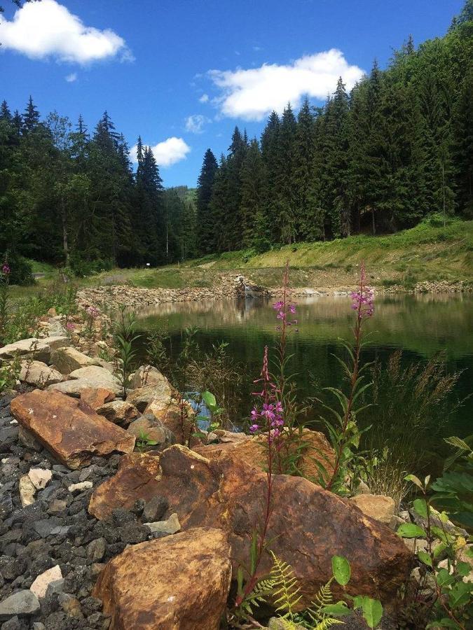 Horska Chata Pod Lanovkou Jáchymov Dış mekan fotoğraf