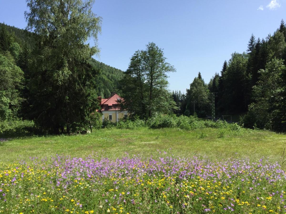 Horska Chata Pod Lanovkou Jáchymov Dış mekan fotoğraf